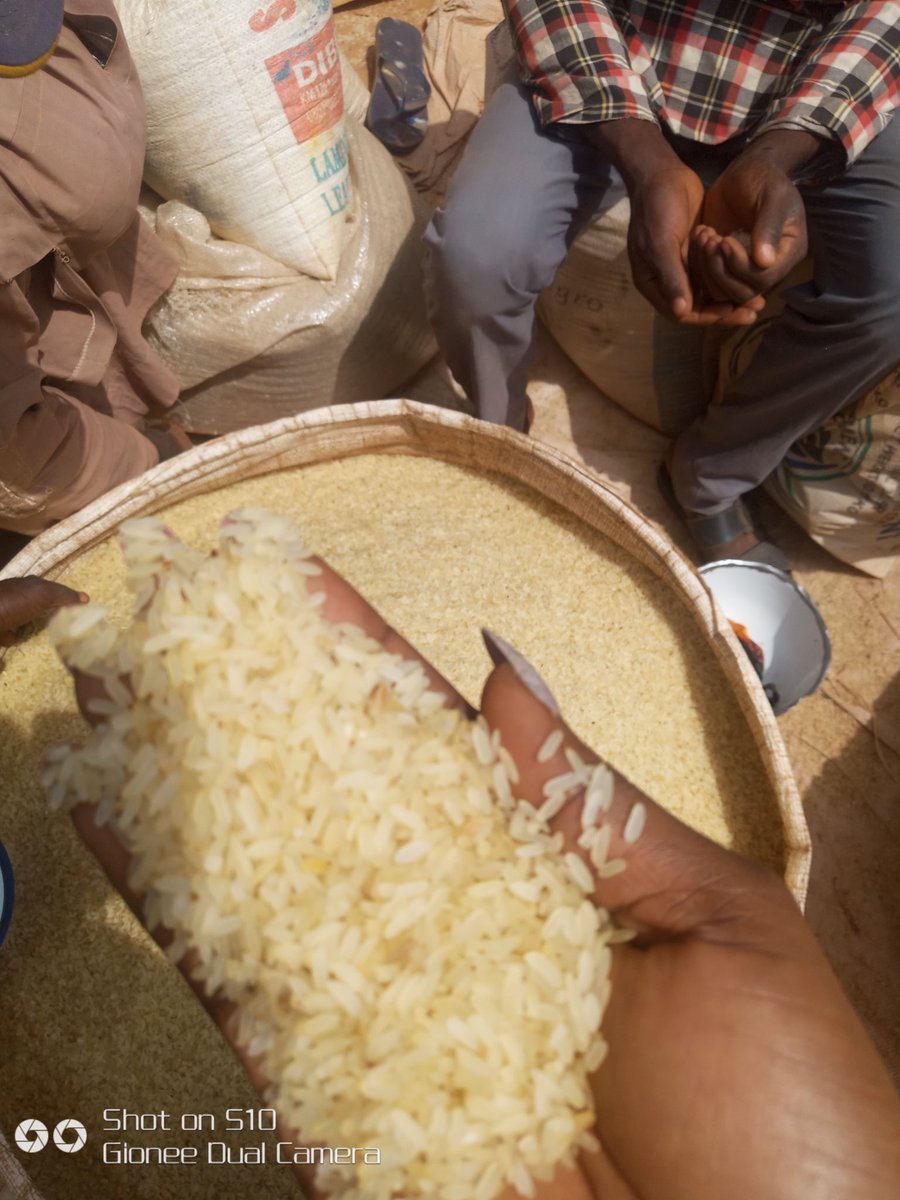 Phorlashey's tweet photo. For your Nigerian parboiled already de stoned Jemila Rice from Kastina, at the best Affordable Price, then I'm your plug, so Send a DM
#sendadm https://t.co/gUgcHFo4nz