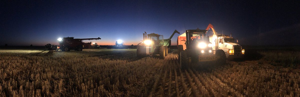 Kent Anthony Burgess tweet media