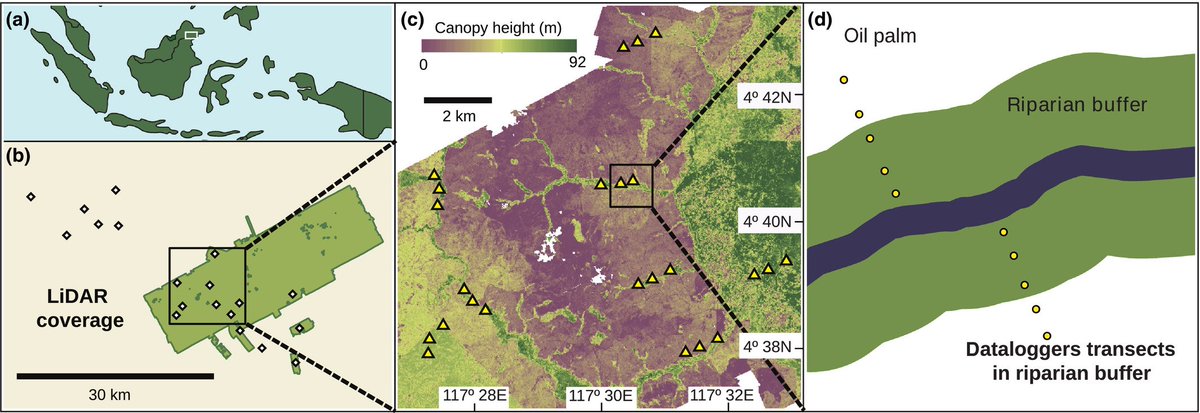 However, very little is known about the microclimate (temperature and humidity) of these set-asides and how this might impact biodiversity.  @SarahHLuke deployed a large-scale microclimatic datalogger campaign in Malaysian Borneo to find out more! 3/n