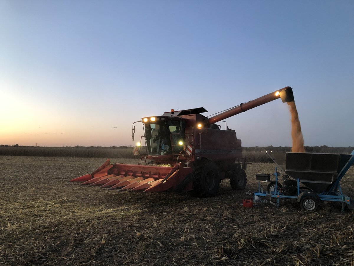 Fin des récoltes pour notre équipe développement, + de 120 essais récoltés cette année en France, pour pouvoir choisir les meilleures variétés que vous aurez demain dans vos parcelles ! Merci à #CeuxQuiFontLesEssais 
<a href="/Tevai_Chapas/">Tevaï Chapas</a> <a href="/Vivien_DL/">Vivien D</a> <a href="/CorentinBonnard/">Corentin BONNARD</a> <a href="/TVoiret/">Thomas VOIRET</a>