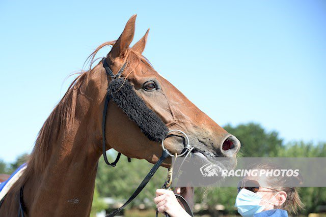 tjfordracing's tweet photo. A well deserved win by Lindelani today she is back on track now and has a nice staying race in her down the track for @TROTTERRACING congratulations to all her owners @cstanaway @StanaRacing @dannydandles @HodderNick @angviola_10 @simon_moloney 👍👌🍸🏇 https://t.co/pT42si7wIz