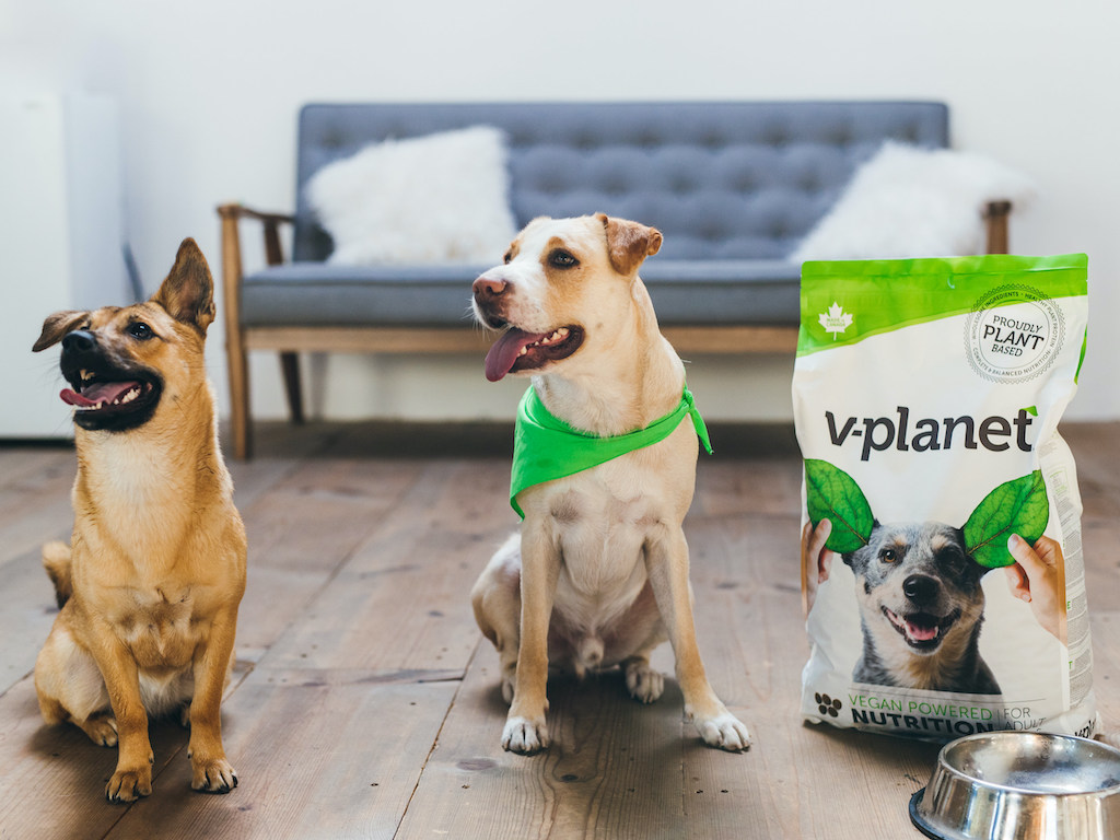AustraliaBio's tweet photo. Do you agree Plant-Based Dog Food is match with the sustainable packaging?
#petfood #cat #dog #puppy #instadog #nutrition #dogsofinstagram #countryhunter #food #rawfeeding #rawfed #petlover #countryhunter #pup #doglover #dogtreats #treats #superfoodbars #dogsnack #dogbiscuit https://t.co/65SMFXohYq