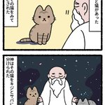 天地創造と猫!猫がたくさん出てくる昔話が可愛すぎる!