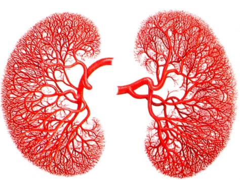 Sº Farmacia La Paz tweet media