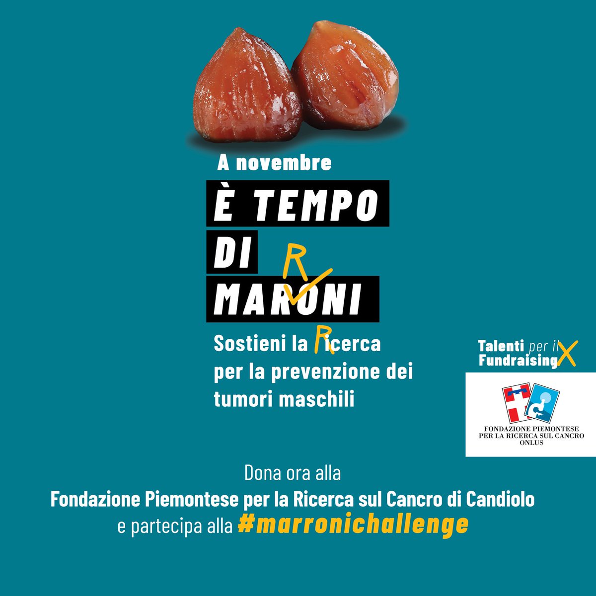 Starteed's tweet photo. 🌰 Novembre è il mese dedicato alla prevenzione dei tumori maschili e la Fondazione Piemontese per la Ricerca sul Cancro - Candiolo ha lanciato la campagna “E’ TEMPO DI MARRONI”! 
Scoprilo subito e dona per sostenere la ricerca 😉
https://t.co/2rGaEO4kik
#sostienicandiolo https://t.co/FKTOKsa5mc
