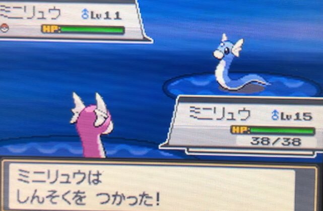 Vynce ミニリュウの色違いおめでとうございます ハンサムです それを進化するか