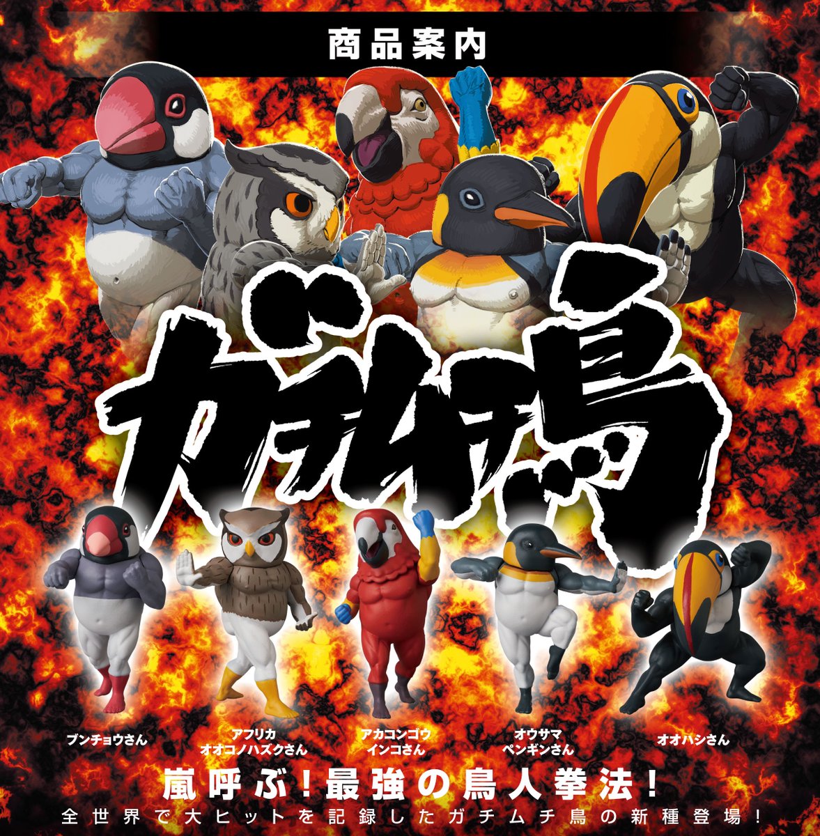 大人気ガチャ「 ガチムチ鳥 シリーズ 4 」が入荷！！One up. AKIBA