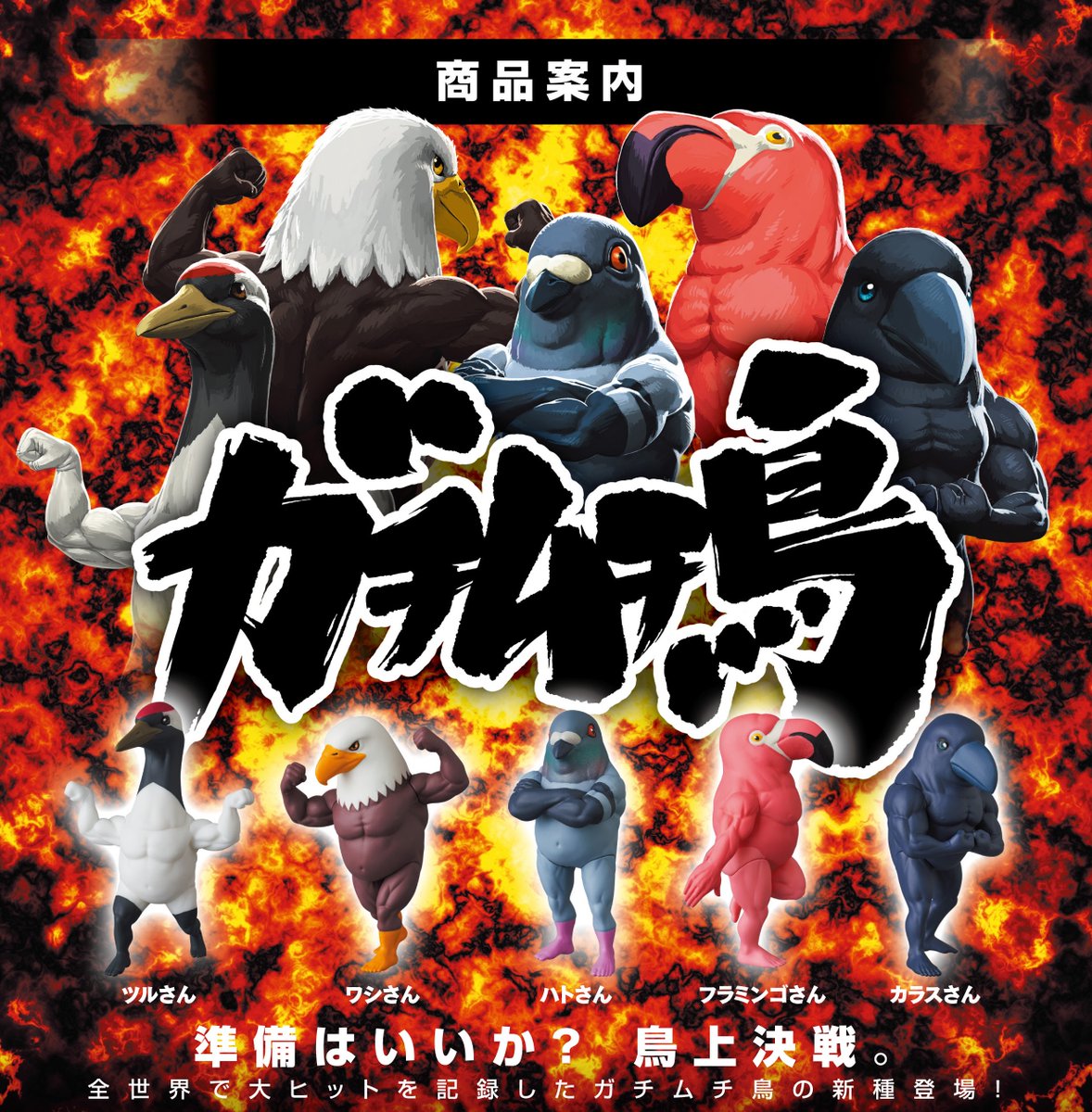 大人気ガチャ「 ガチムチ鳥 シリーズ 4 」が入荷！！One up. AKIBA