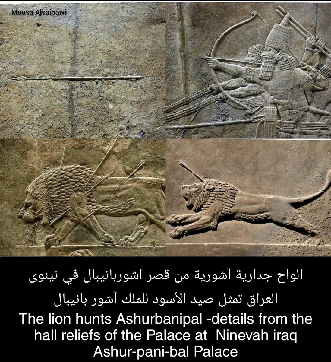 mousaalsaibawi's tweet photo. الواح جدارية آشورية من قصر اشوربانيبال في نينوى #العراق تمثل صيد الأسود للملك آشور بانيبال
The lion hunts Ashurbanipal -details from the hall reliefs of the Palace at  #Ninevah #Iraq Ashur-pani-bal Palace #History
#art تليكرام 
https://t.co/3lb0t9oBAj https://t.co/ZwJa5aGQRZ
