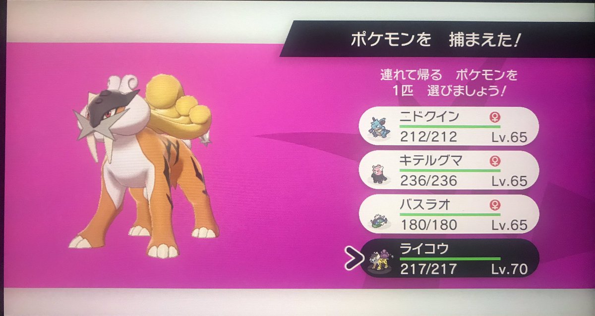 Team ぽむぽむ 色違いライコウゲット スイクン ライコウと色違いゲットしてるからエンテイも色違い狙おう ポケモン Pokemon 剣盾 色違いポケモン ダイマックスアドベンチャー