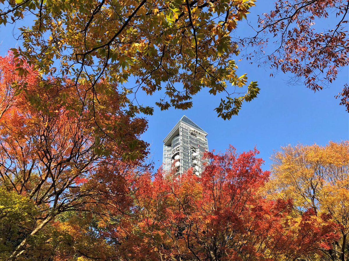 名古屋市東山動植物園 動物園側の紅葉をまたまたご紹介 どこで撮影しているかわかりますか 日々 色合いが変化していきます ご来園の際は 色々な方向で ステキな瞬間を見つけてくださいネ 東山動植物園 アミメキリン スカイタワー 紅葉 名古屋市東山動植物園 動物園側の紅葉をまたまたご紹介 どこで撮影しているかわかりますか 日々 色合いが変化していきます ご来園の際は 色々な方向で ステキな瞬間を見つけてくださいネ 東山動植物園 アミメキリン スカイタワー 紅葉