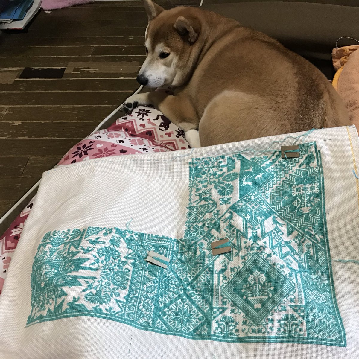yuzukosiba's tweet photo. 17ページ 6/20完成✨
今回早かった気がする 2020のトコは21にしたいな 22年完成になっちゃうかもしれないから 最後に縫う予定
次は 途中のオーストラリアの方完成させたいな パンデミックに夢中になりすぎちゃった
#longdogsamples https://t.co/QR3nwOcone