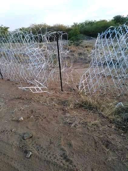 Kgabo_DeSpeaker's tweet photo. You expect #BushiriEscape to be impossible while you've a border fence like this? @PatriciaDeLille and Motsoaledi must also held accountable for #BushiriEscape.๐ฟ๐ฆ๐คโ๏ธ @CyrilRamaphosa @GovernmentZA #CorruptionFreeSA #HawksArrests #PutSouthAfricansFirst #IllegalImmigrants #SA4SAns https://t.co/bhLE5tK2eH
