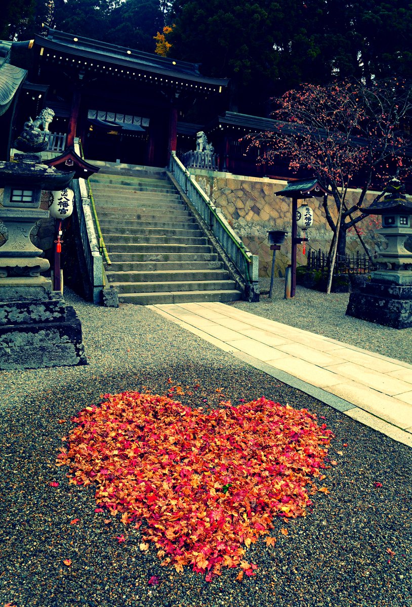 I found a Love of autumn leaves at Sakurayama Hachimangu!
櫻山八幡宮で紅葉のハートを見つけました！

#Walk #WalkinginJapan #Travel  #Japan #autumn #Autumnleaves #SakurayamaHachimangu #heart #Love