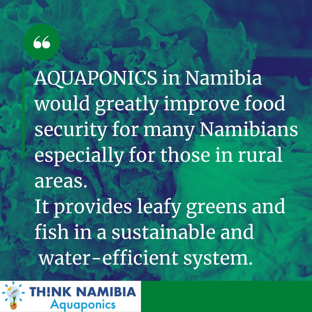 ThinkNamibia's tweet image. 🐟AQUAPONICS in Namibia would greatly improve food security for many Namibians esp. for those in rural areas.  It provides leafy greens and fish in a sustainable and water-efficient system. 
#ThinkNamibia #Aquaponics #AquaponicsInNamibia #FoodSecurity
📷: Engin Akyurt