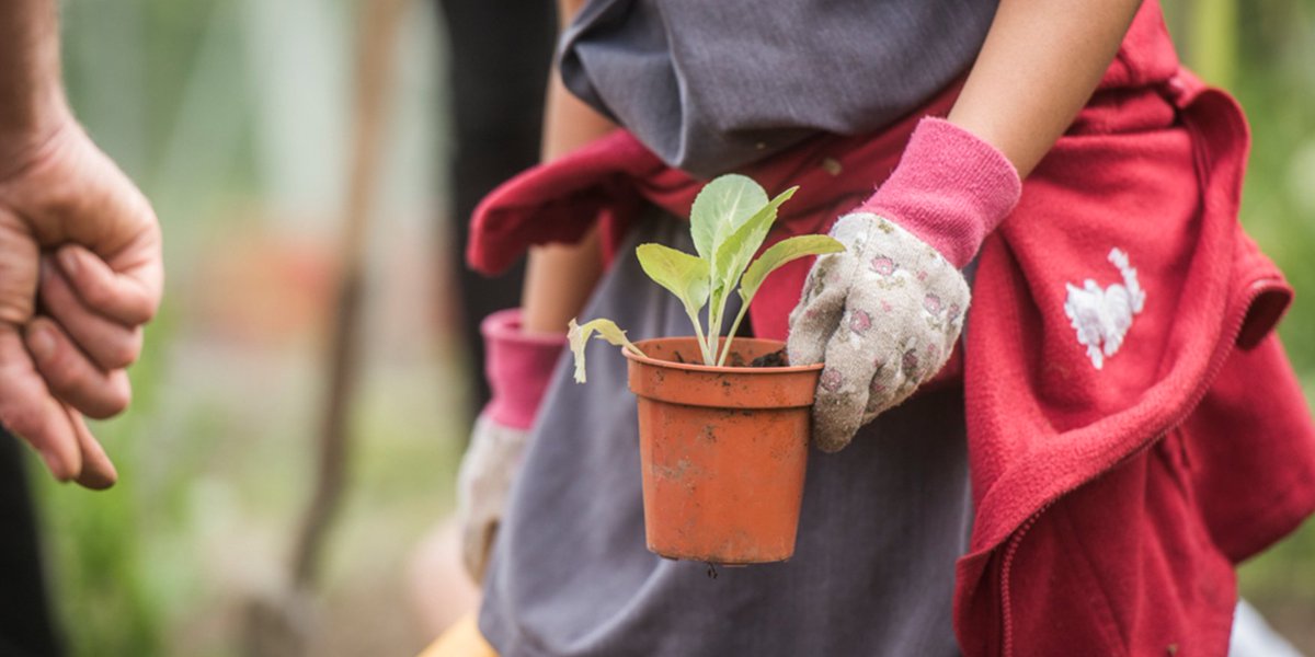 Please help us with our survey if you have taken part in some way to celebrate Outdoor Classroom Day in South Africa. The research this year is critical as we need to measure the impact of COVID on the well-being of our children >>> bit.ly/3puQgPf

#outdoorclassroomday