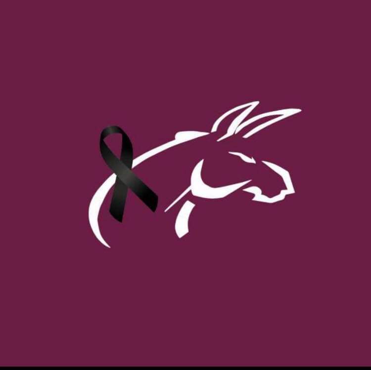 BB_IPN_Juv's tweet photo. #NuevaFotoDePerfil https://t.co/ufBSApC0I7