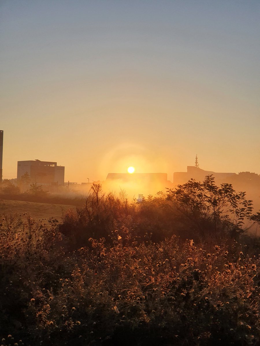 과연 선배들은
모든 과정을 겪었다.

경의롭게 침착해 있는
시선을 보았다.

쇠하여 새겨진
주름은 가벼운게
아닌것을....,