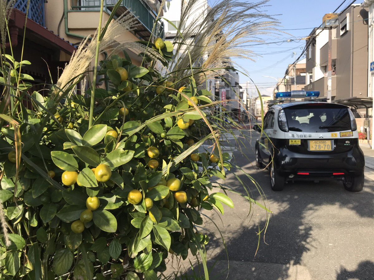 国道486号 最新道路状況 2ページ目 今日現在 リアルタイム情報 ナウティス