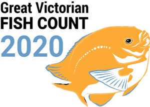 LovePortPhillip's tweet photo. Victoria’s biggest marine #citizenscience event is here, the Great Victorian Fish Count! 
If you are looking for a reason to go #snorkeling, then have a look at the @vnpatweets  website to see how you can get involved 🐠 🐟 🐬 
https://t.co/Wt0f3G3MSh  #VicOurNature #fishcount https://t.co/6O0jKlriYE