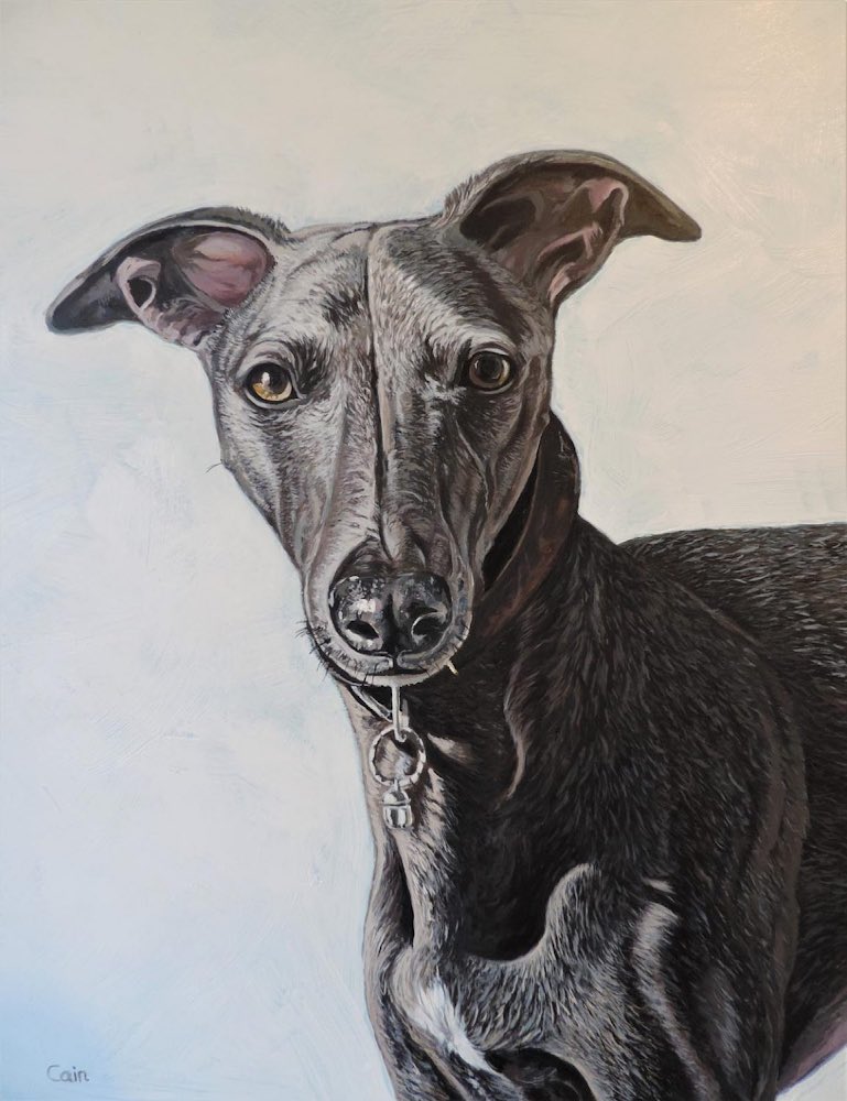 StudioWebsites's tweet photo. #ArtOfTheDay
#Artist: Jeff Cain – animal art
#Artwork: Diesel Blue Whippet 11x16in
Copyright with Artist
#jeffanimanart #jeffcain #commissions
https://t.co/wkHCXDQoop https://t.co/Gfl7qKcM4Y
