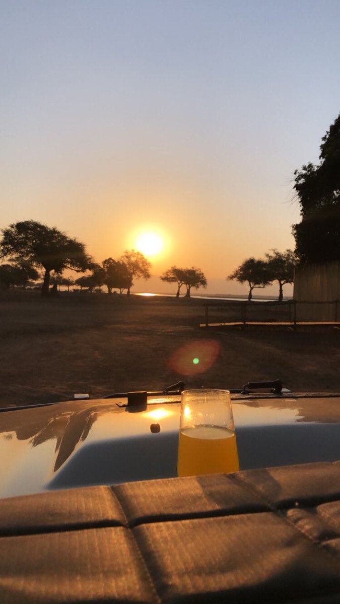 A few friends and I spent 3 nights in Mana Pools,Zimbabwe, I couldn’t share the pics,here coz there is ZERO network there and you really don’t need to be in touch with the rest of the world while you are out there, anyway  @Zimparks and African Bush Camps hosted us.A thread.