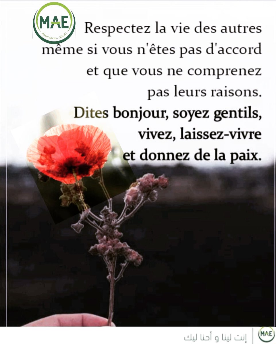 smedisl's tweet photo. Bonjour ❤️ 🌹
Bonne journée et bon début de semaine
à toutes et à tous

  MAE SAHNOUN ASSURANCES 
#assurances #insurance #mae #mutuelle #lifeinsurance #conseil #smile #optimisme #positivevibes #picoftheday #instadaily #life_style #tunisia 
#سلامتك_وسلامتي_مسؤوليتنا_الكل https://t.co/ljK4uJ9tqo
