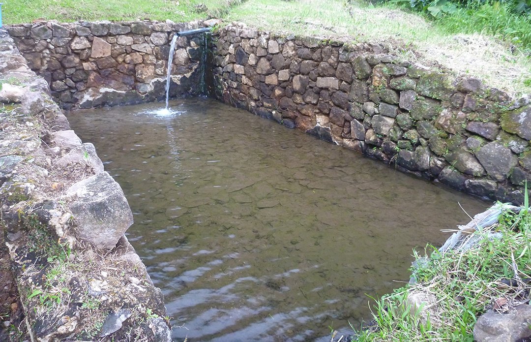BRGM_fr's tweet photo. En #Guadeloupe, il existe 85 sources actives non captées pour l’AEP. La qualité des eaux est méconnue.
A la demande de l’ARS, nous avons réalisé une étude des risques sanitaires liés à leur usage.
Découvrez les résultats de nos analyses :
➡️https://t.co/YlnYXmS4OJ
 #environnement https://t.co/okyB00No4T