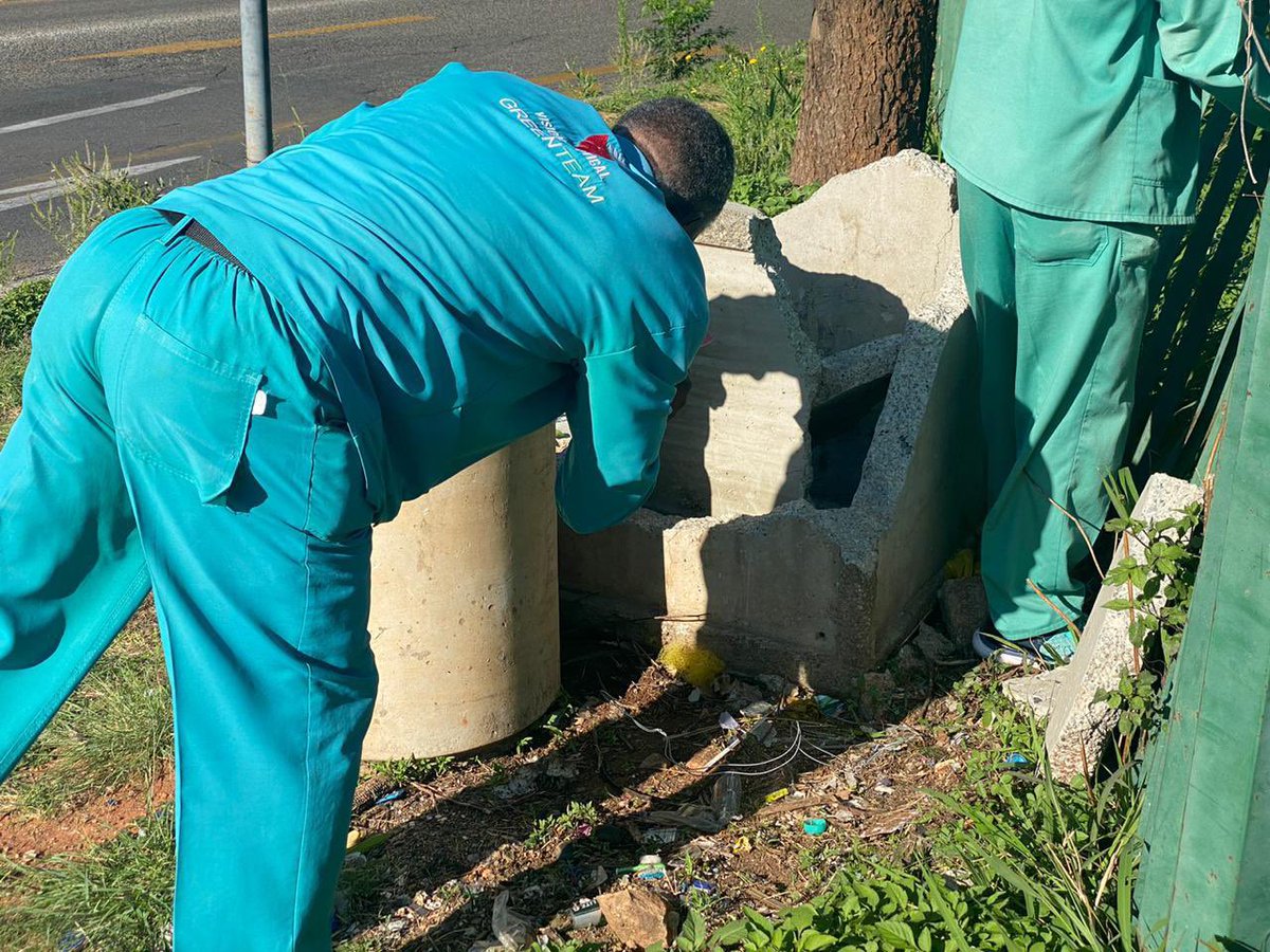 VTacGreenTeam's tweet photo. It is ever-important that we do our due diligence in helping nature to thrive, however we can. That starts with taking care of the environment.

The VTAC Green Team #KeepingItClean in Killarney this morning as we kickstart a fresh new week! 🍃🌸

#BeTheChange 🇿🇦⚫️🔴 https://t.co/xsrCBhyXSU