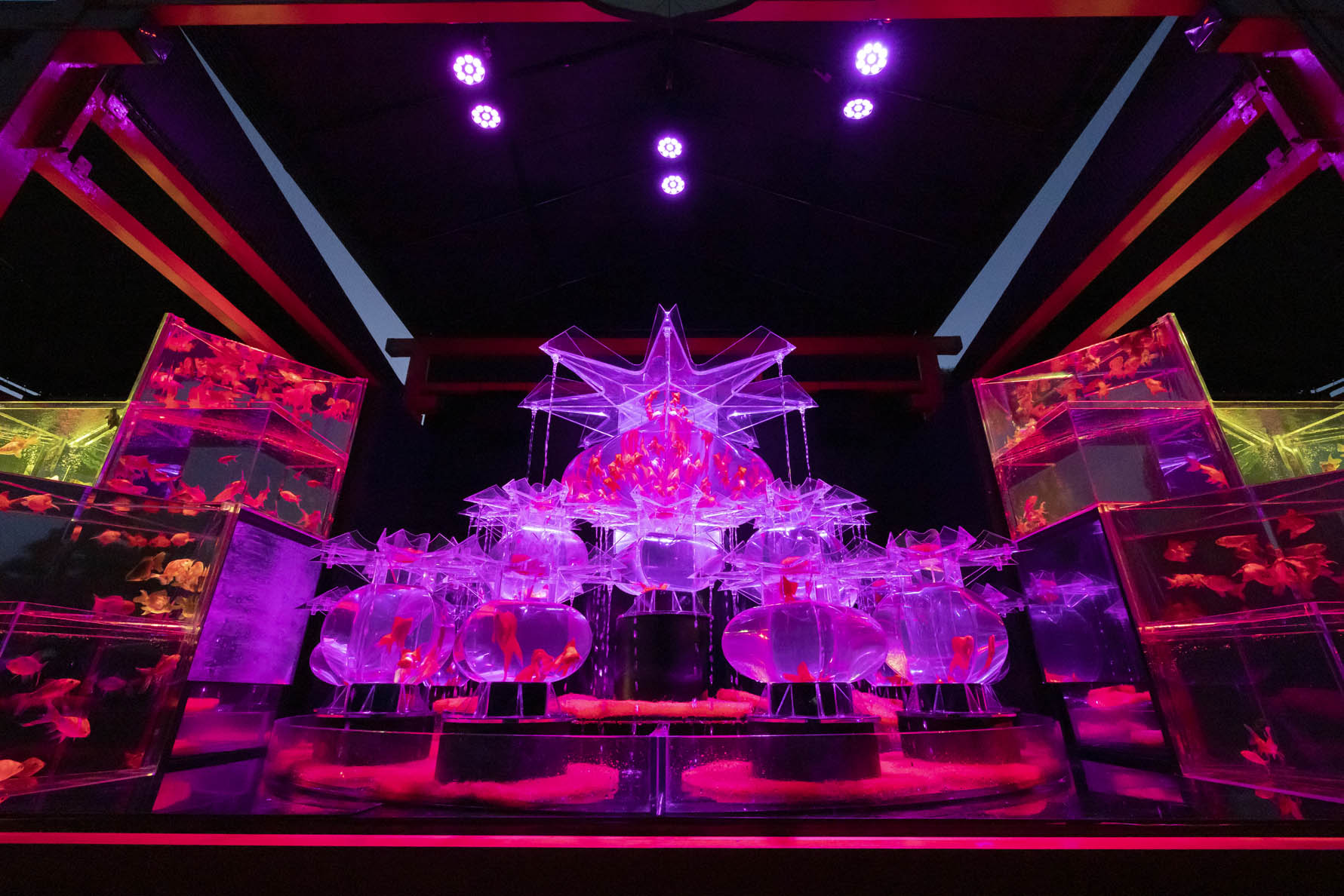 アートアクアリウム城 京都 金魚の舞 Artaquarium Ky Twitter