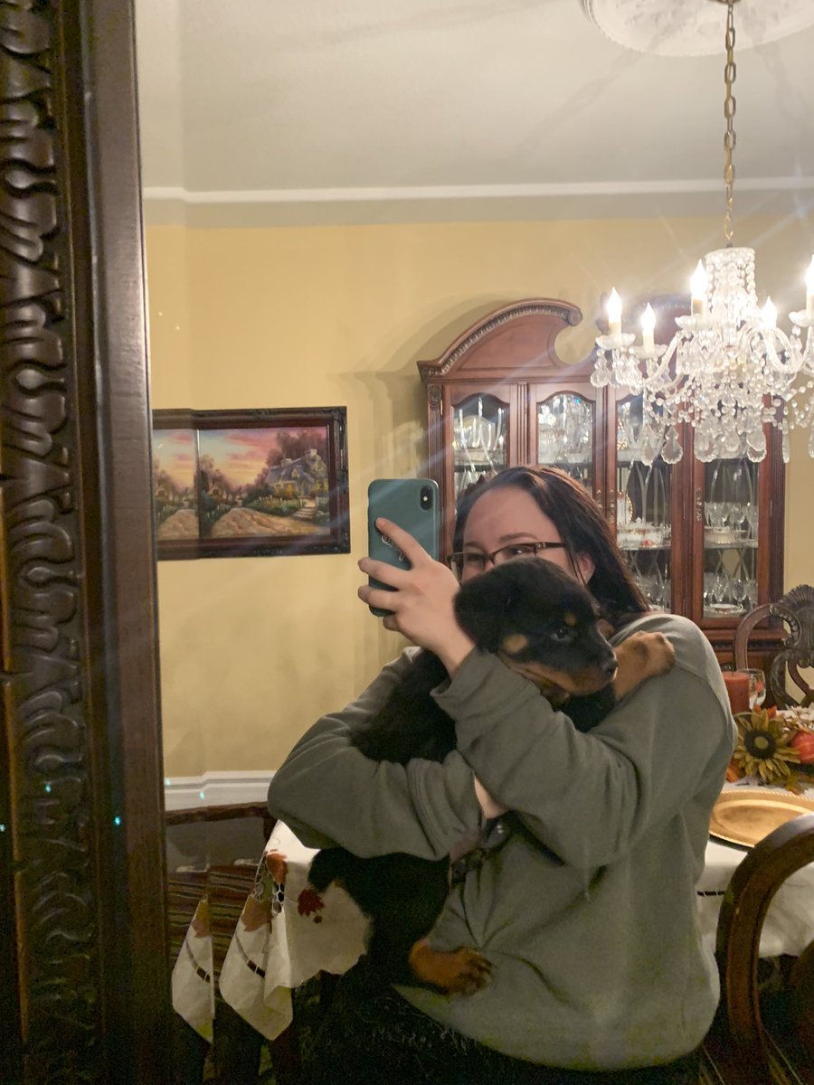 lilhjohnson's tweet photo. So, we got a puppy 🥺 https://t.co/2NvqLpf8dH