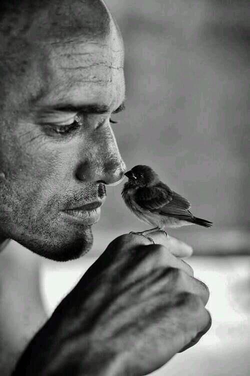 Women for the World (@women4_world) on Twitter photo 