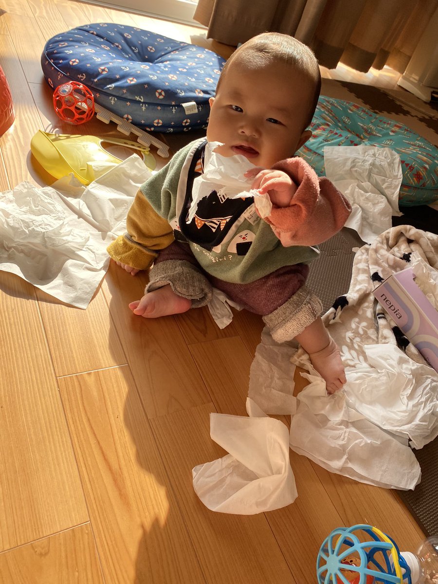 moemoeGG0320's tweet photo. コンタクトかえとる間にやんちゃ坊主にやられた、、、そしてクソ笑顔🙂 https://t.co/1CRJ2V8w1E