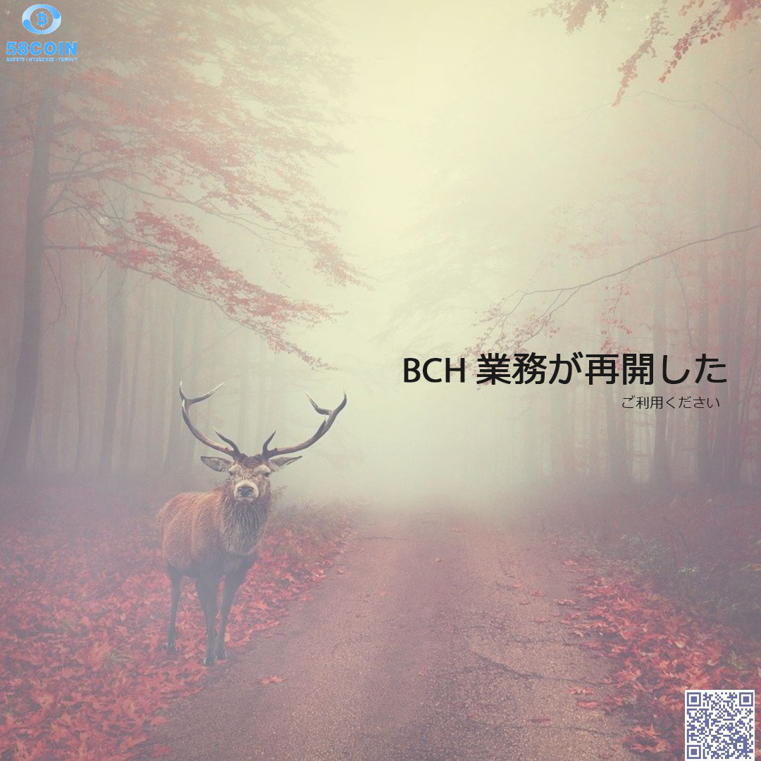 58 COIN (@58_coin) / Posts / X