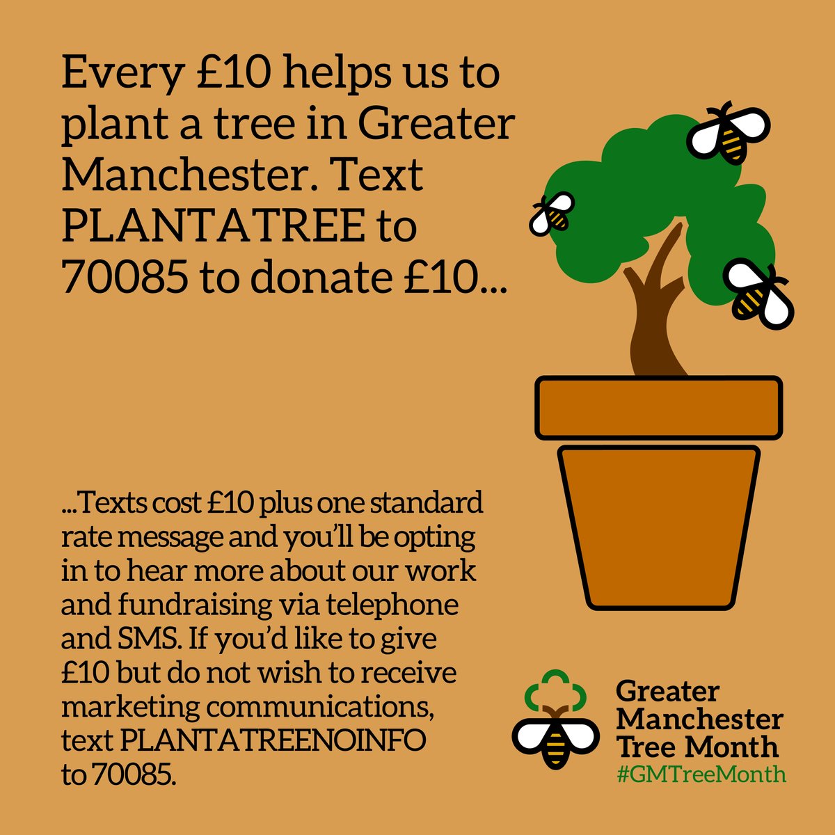 CityofTreesMcr's tweet photo. Every £10 helps plant a tree. Can you give a gift by texting the number below? #GMTreeMonth https://t.co/NkxFuCr3In