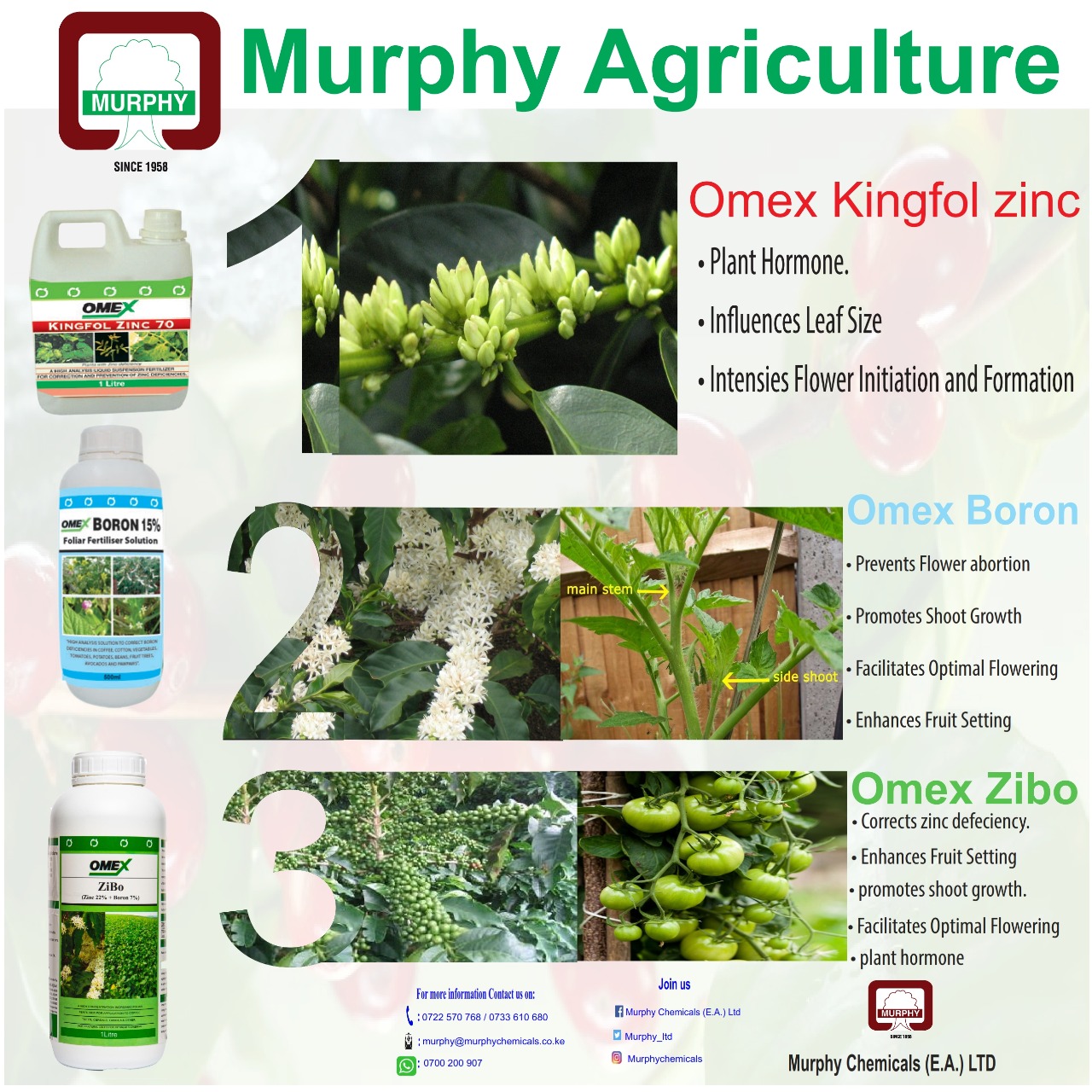 Murphy Agriculture on Twitter "The primary function of flowering is