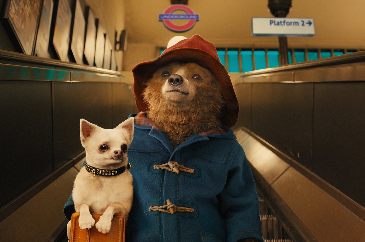 UoBISSupport's tweet photo. Culture Shock Week starts with a ROAR! Paddington (2014) tonight 20.30-22.30. A heart-warming and humorous take on arriving in the UK for the first time through the eyes of a small Peruvian Bear! MS teams join code eq7yyd7. https://t.co/6UK7oSMZXn