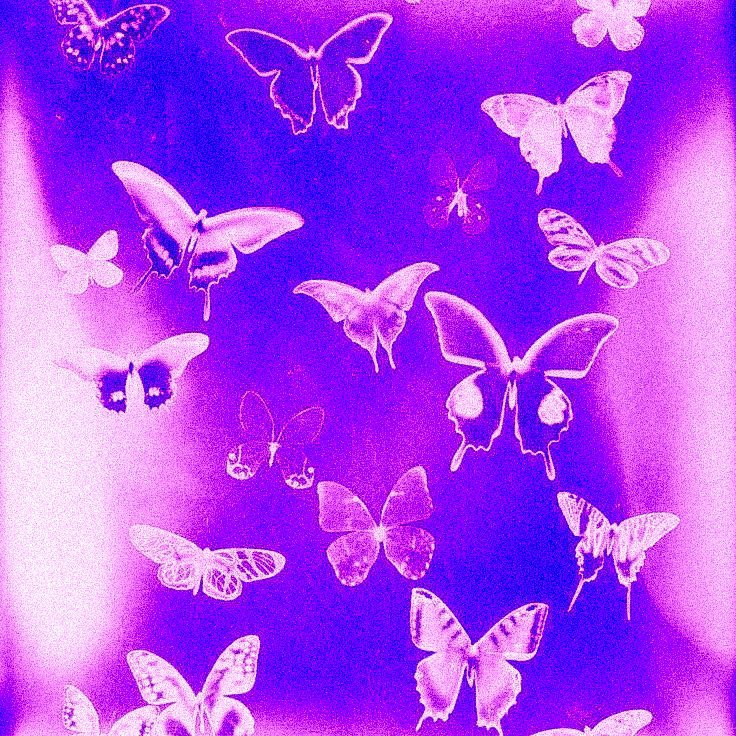 ᚐ𓊪 ˙  ᚕ  𓎭𓎭 ( P ╴e̷p͜͡hat ) ☐ ลฟตท 🟣