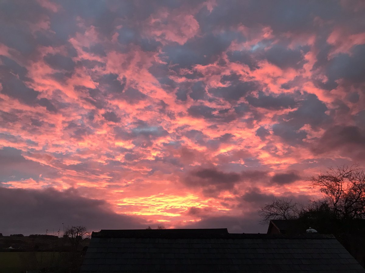 I know this sunrise is a warning of rubbish weather but it’s certainly a very pretty warning 🥰