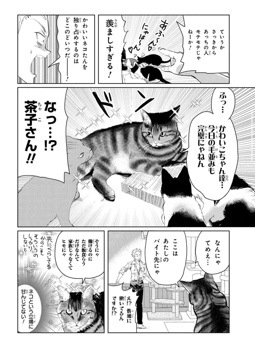 ネコが悪い編集を倒そうとする漫画です 