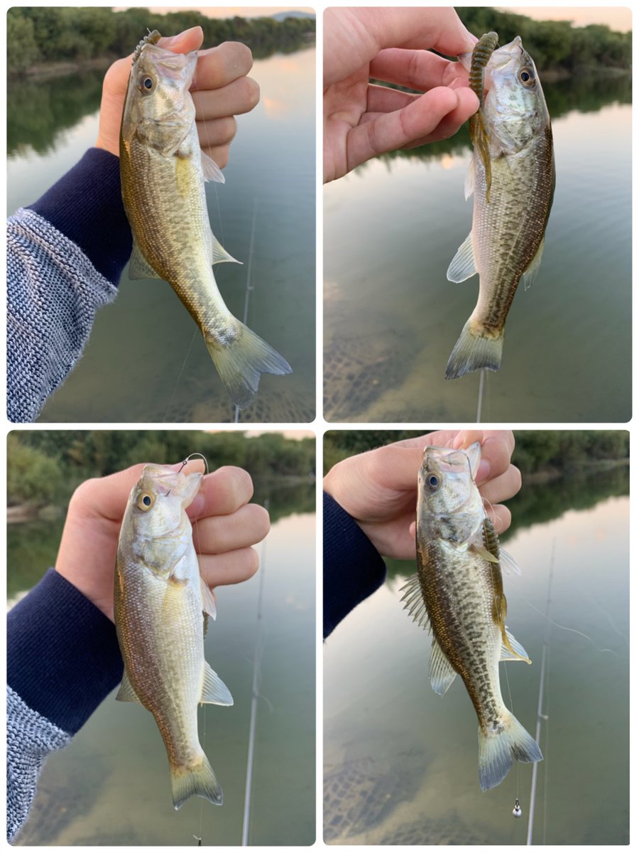 バス魂