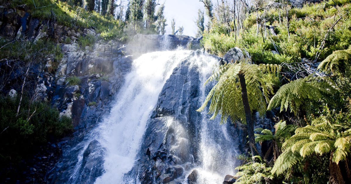 UrbanListMELB's tweet photo. Lace Up Your Hiking Boots And Take On Victoria's Best Waterfall Hikes https://t.co/KyB6BFdUtm https://t.co/9aWklBGmLI