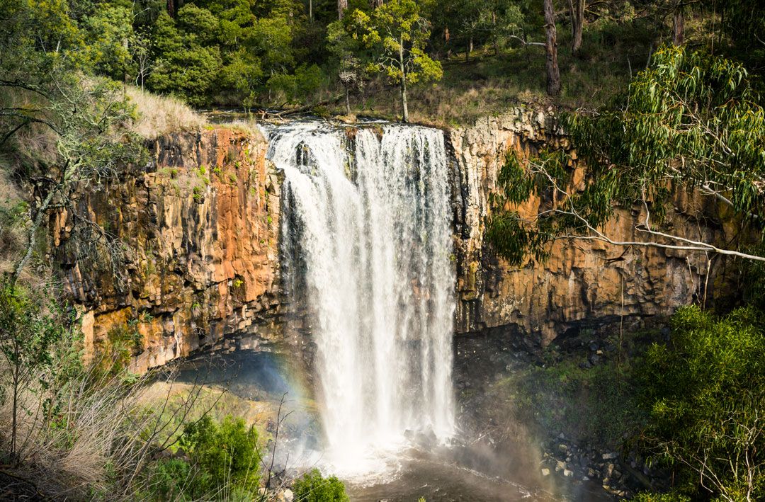 UrbanListMELB's tweet photo. Lace Up Your Hiking Boots And Take On Victoria's Best Waterfall Hikes https://t.co/KyB6BFdUtm https://t.co/9aWklBGmLI