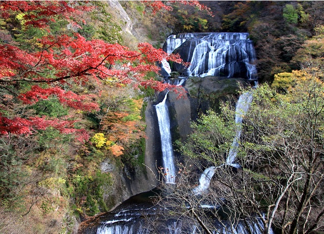 Kenpoku通信 茨城県北 Pa Twitter 大子町観光協会が 大子の紅葉スポット8選 の情報を更新しました 11月16日付 袋田の滝や男体山が見頃です 袋田の滝はライトアップイベント 大子来人 も開催中 大子町 紅葉 袋田の滝 大子町観光協会 T Co