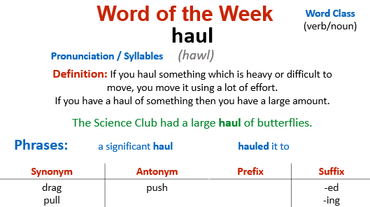 VCWalneySchool1's tweet photo. A new week a new word! 

@Walney_School's #WordOfTheWeek is haul.

#vocabulary #vocabularybuilding #proudofourstudents #proudofourschool https://t.co/YgENjUE7GN