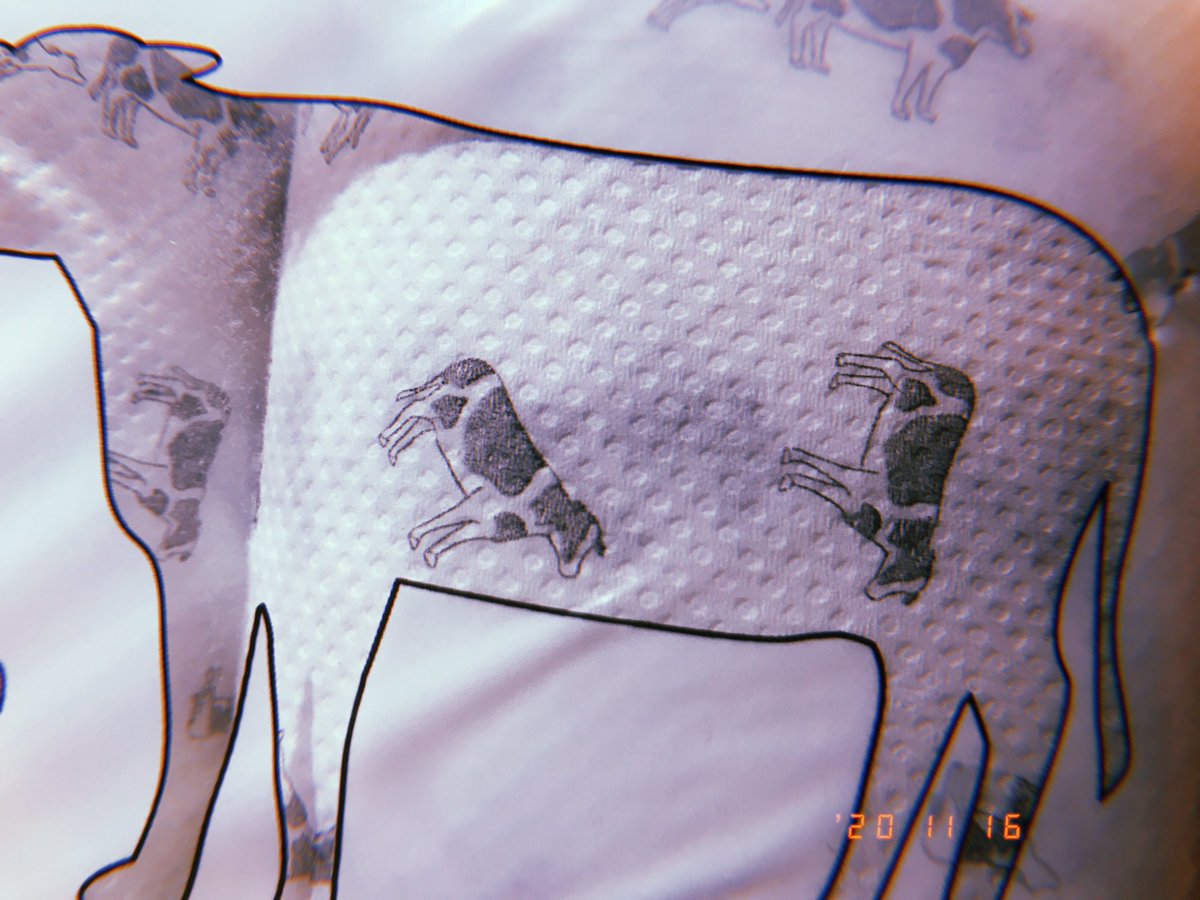 うしさん 牛柄トイレットペーパー カインズホームにて発見 マジのホルスタインちゃん達が いっっっぱい印刷されてるトイペ やばすぎーーー 丑年だから これはストック100個買うしかない 丑年