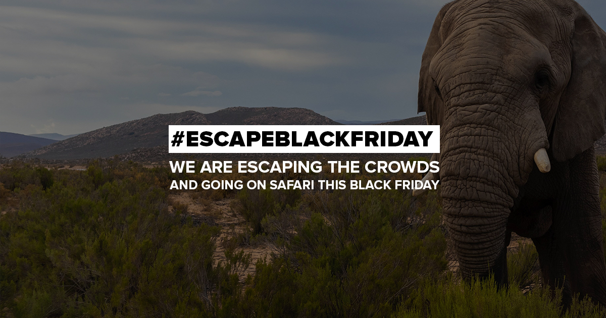 safari_dot_com's tweet photo. Ditch the crowds and join us! You can save up to 80% on local safari lodge booking plus get up to R1,500.00 cashback on your fuel spend with our #escapeblackfriday deals before 27 November! 
Visit: https://t.co/bnaE8TaZkG
#EscapeBlackFriday https://t.co/LStTh3r4Gp