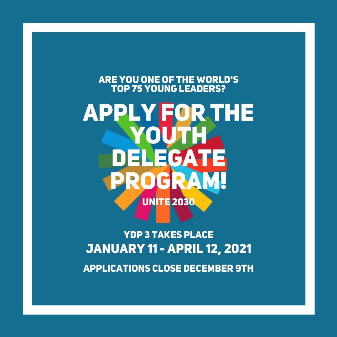 UNITE2030_'s tweet photo. Our first round of interviews for the Youth Delegate Program is TOMORROW! 🔥We cant wait to welcome new 🔝Changemakers from around the 🌎 into our community. 

Apply ⤵️
www.unite2030/com/ydp3 https://t.co/lzWTpR3QfL