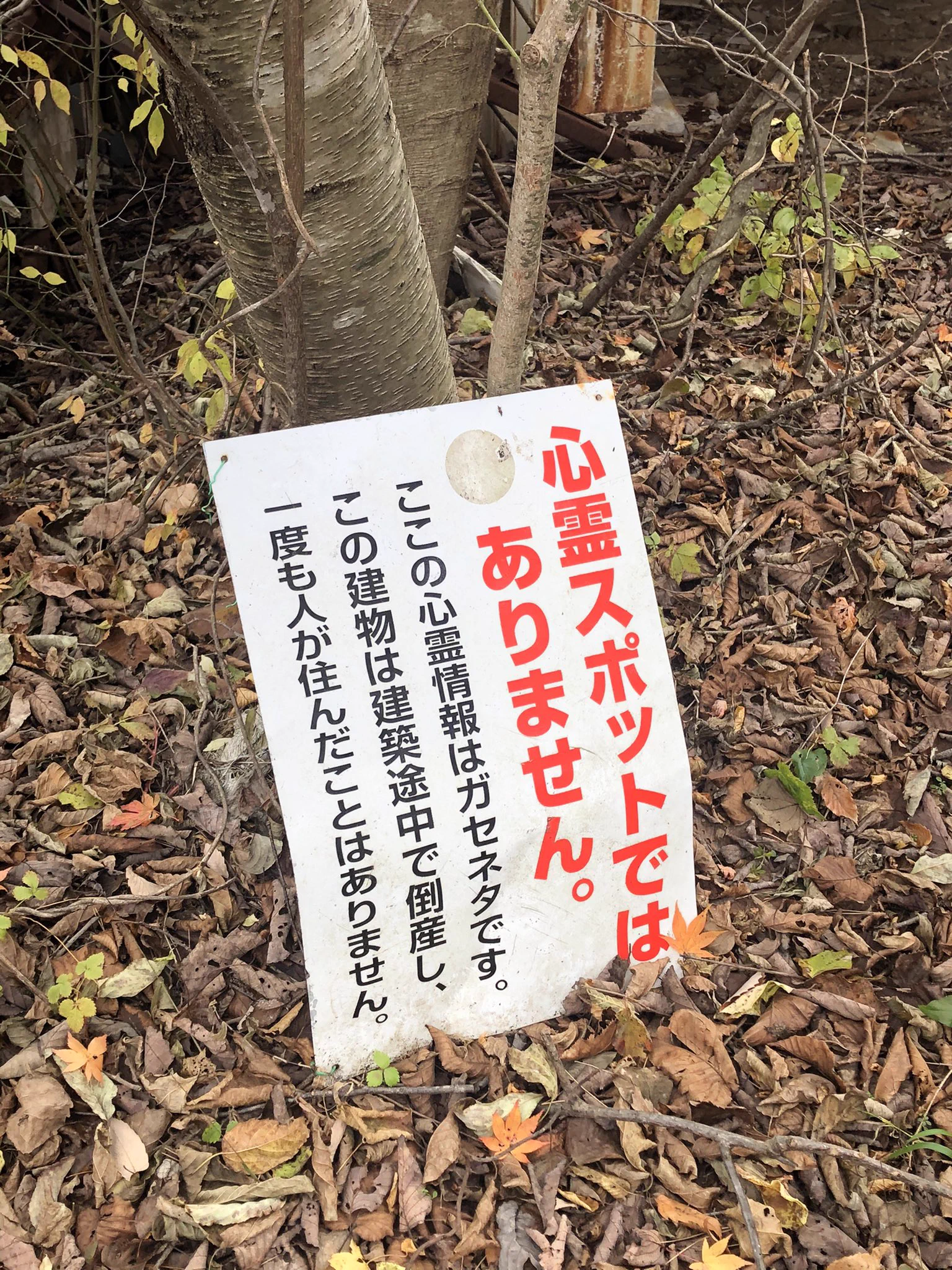 それはそれで、気になるんですけど…！心霊スポットではないとアナウンスする看板