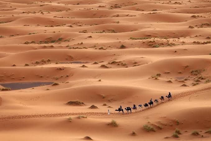 African Sahara Desert History__The Sahara was once a lush and fertile environment sustaining a diversified human population, fauna, and flora, the Sahara experienced an irreversible process of desertification from 3000 BCE onward.